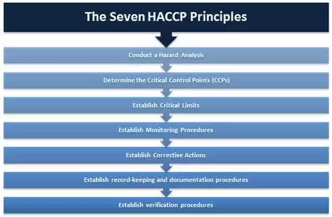 seven-haccp-principles
