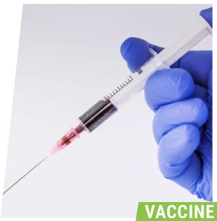 vaccine temperature monitoring