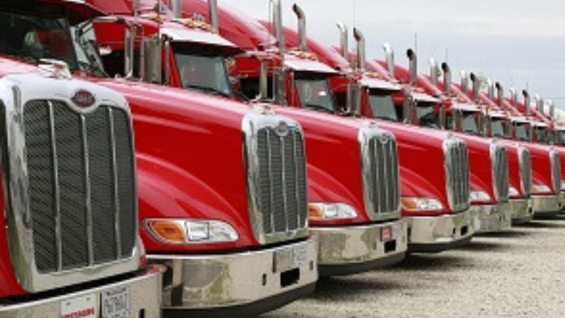 COLD CHAIN