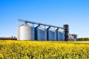 flour silos