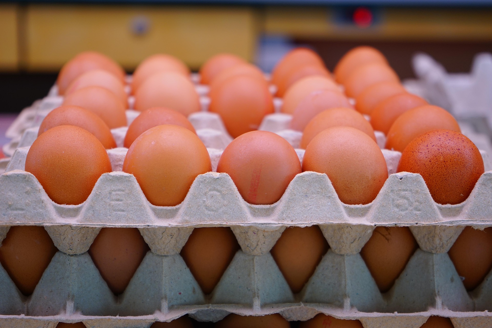 food safety