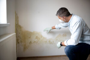 moisture damage